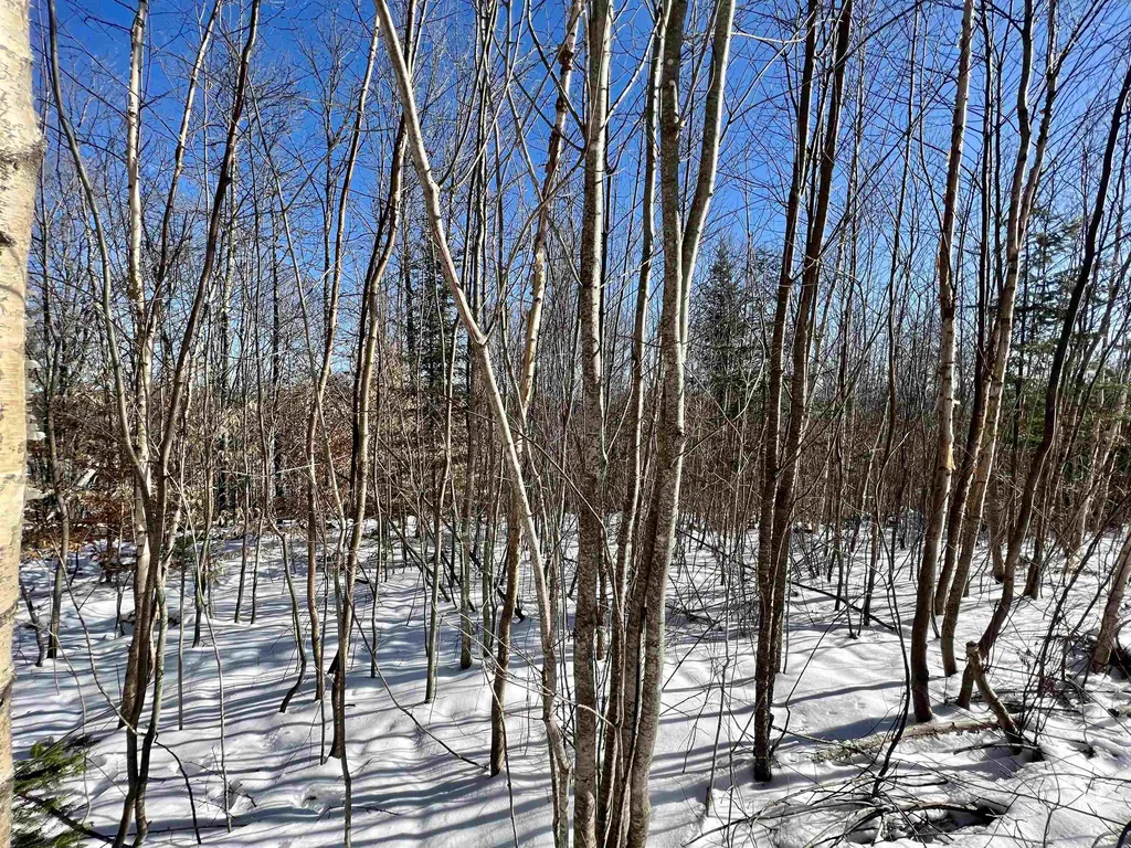 0 Corey Hill Road Newbury VT 05051