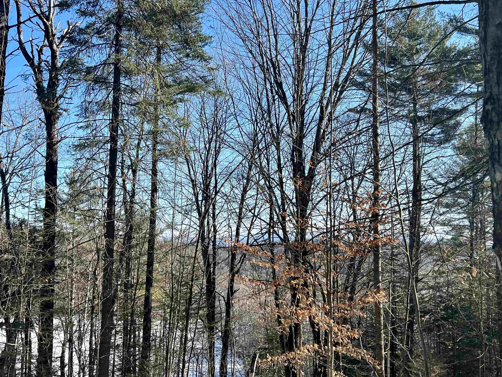 0 Corey Hill Road Newbury VT 05051