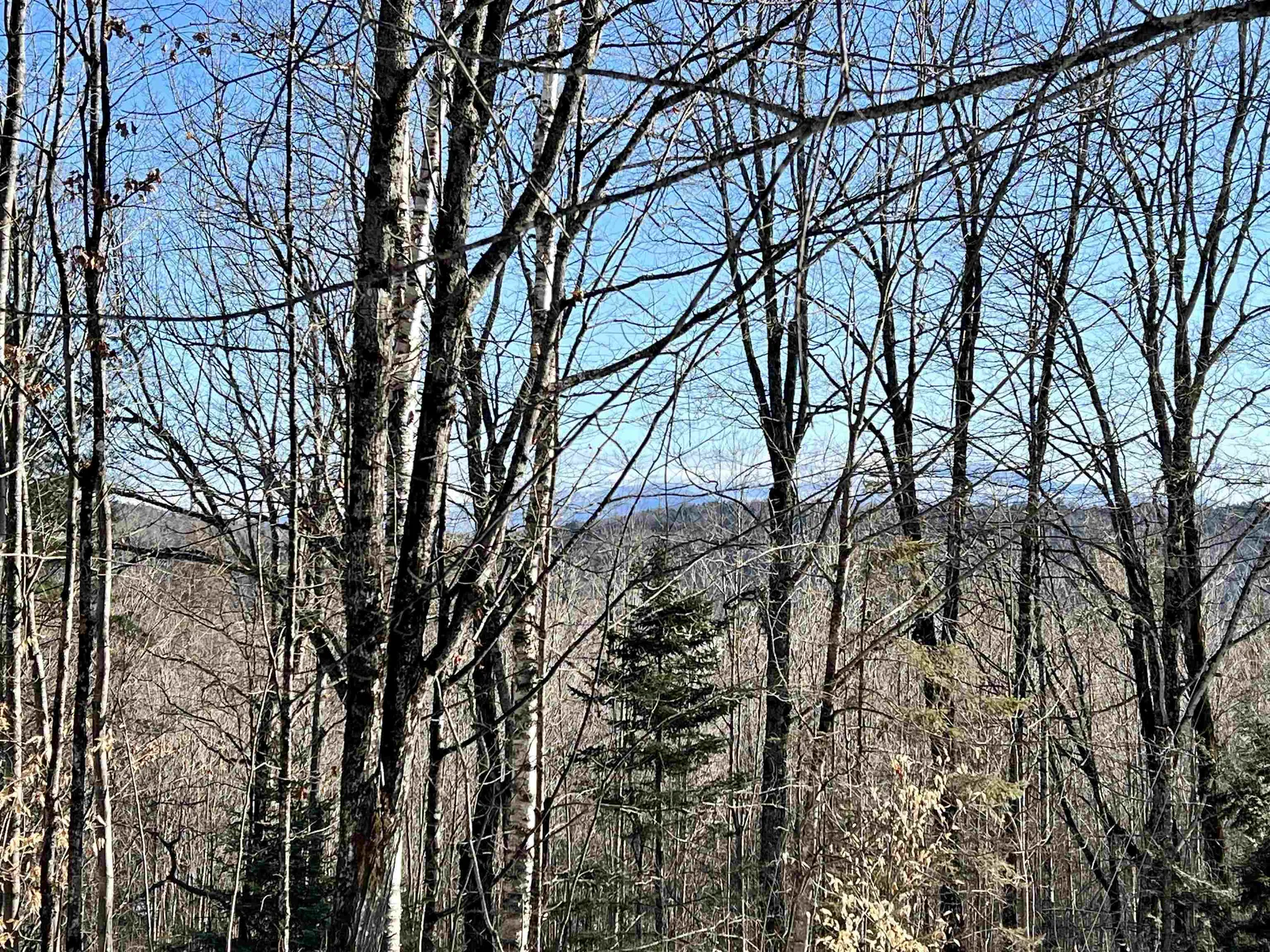 0 Corey Hill Road Newbury VT 05051