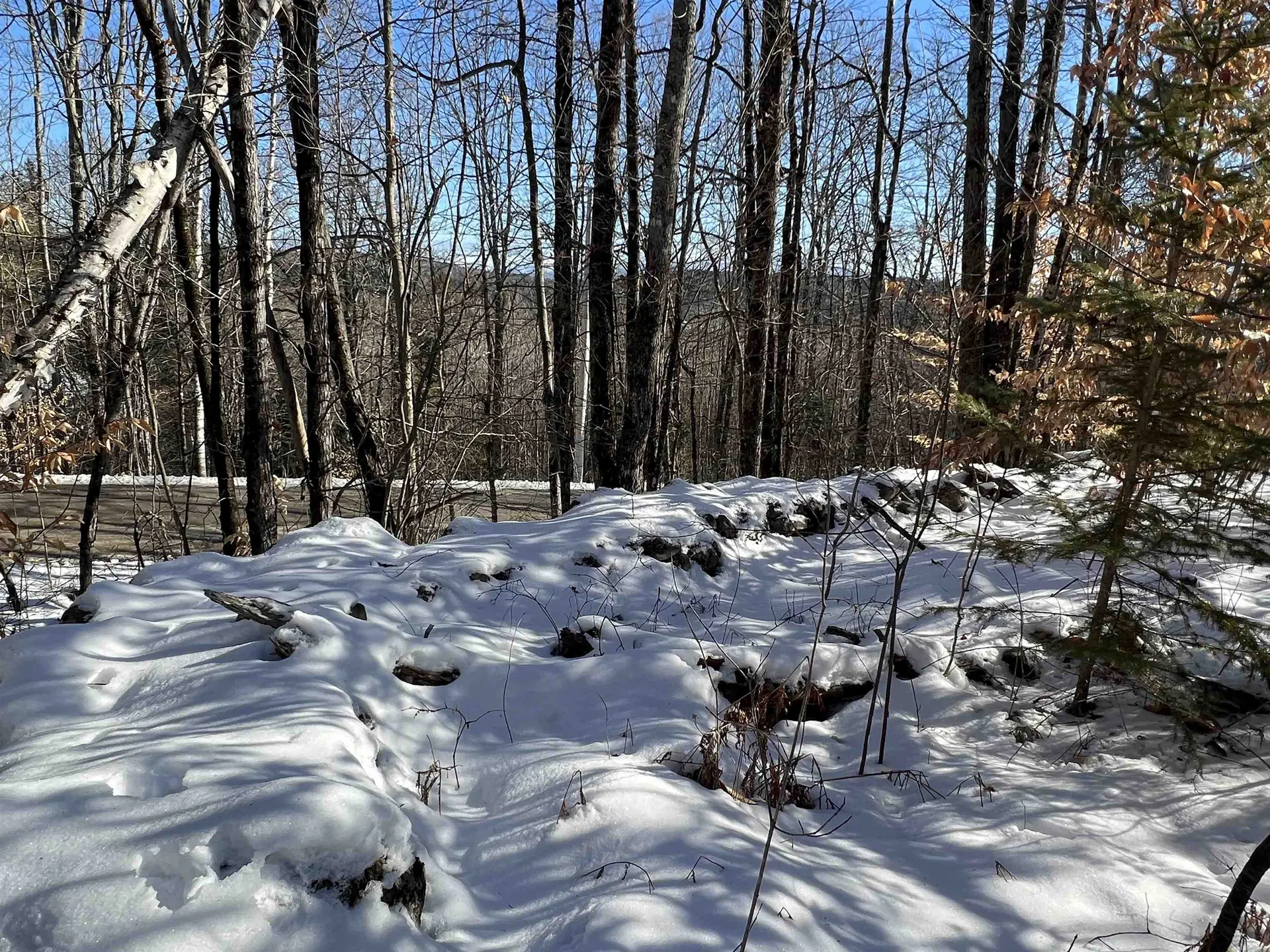 0 Corey Hill Road Newbury VT 05051