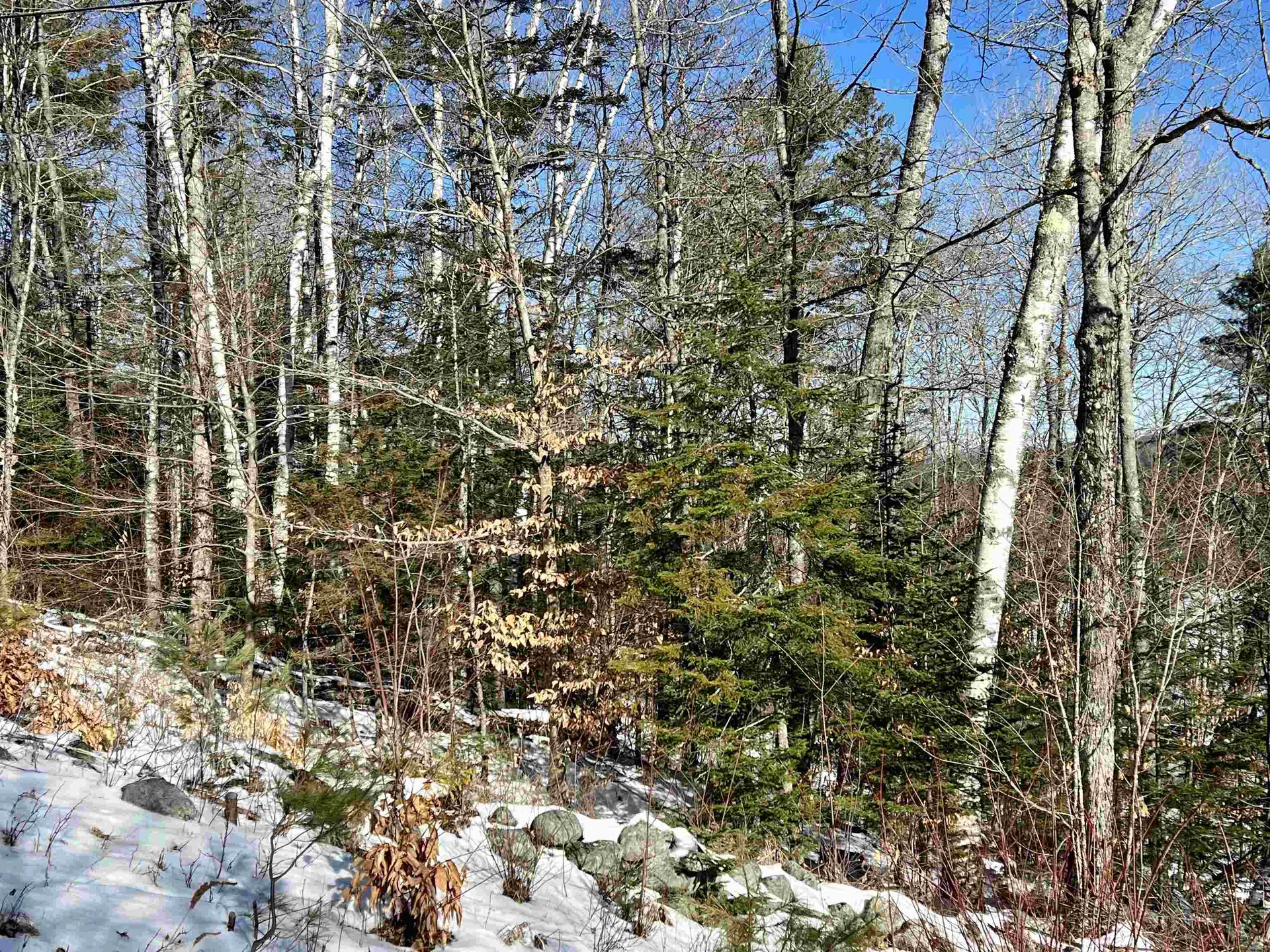 0 Corey Hill Road Newbury VT 05051