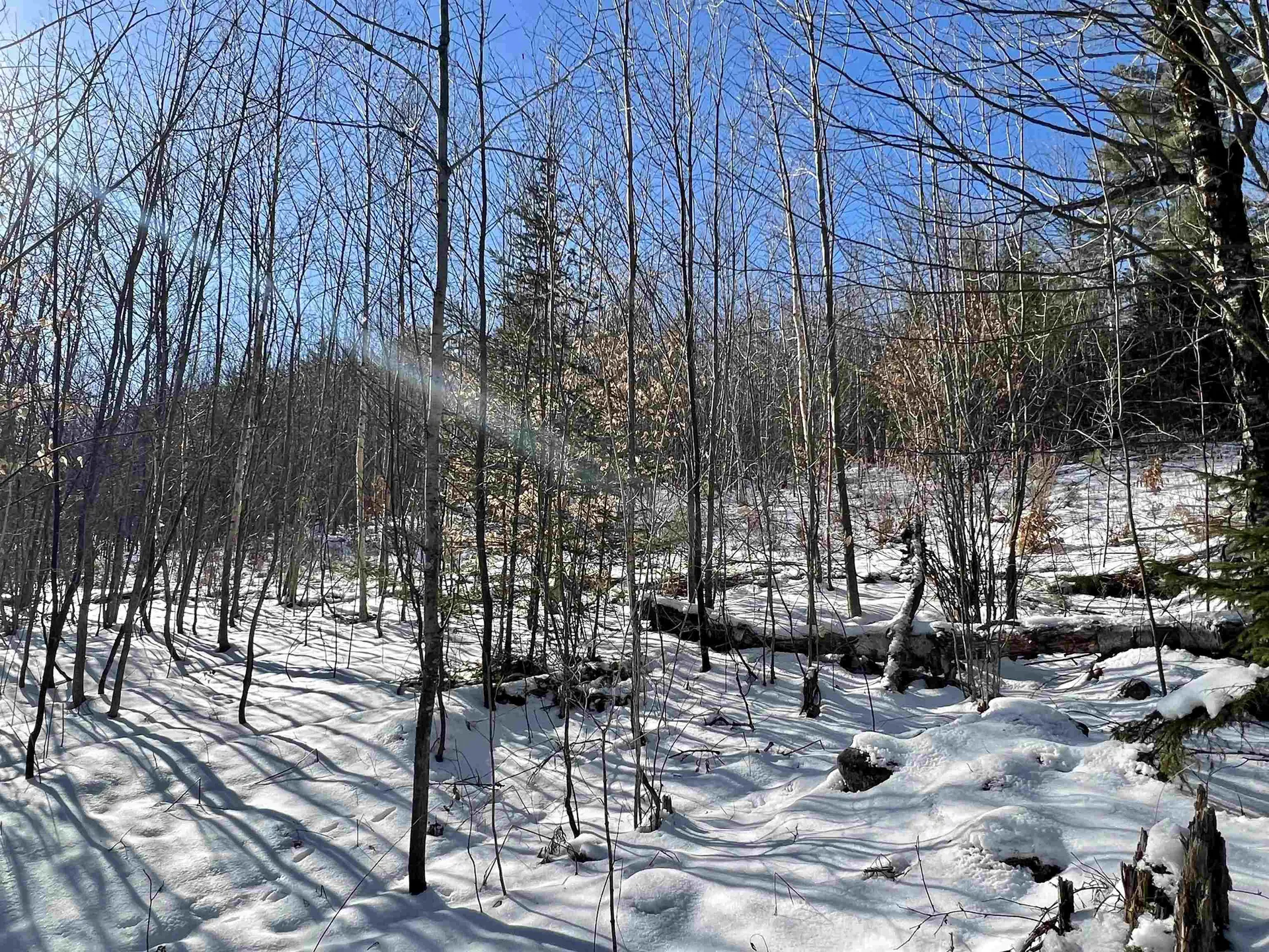 0 Corey Hill Road Newbury VT 05051