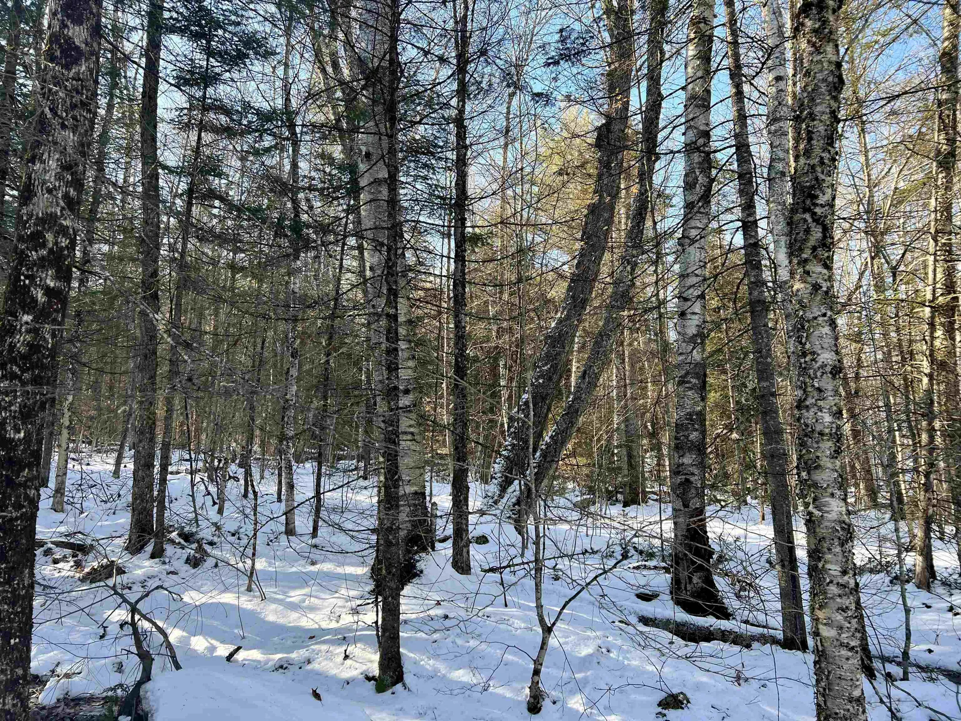 0 Corey Hill Road Newbury VT 05051