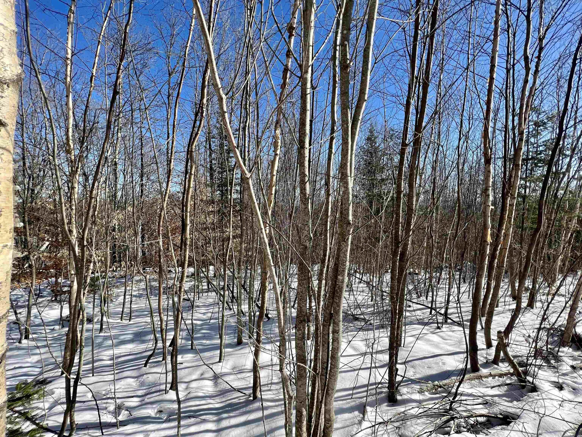 0 Corey Hill Road Newbury VT 05051