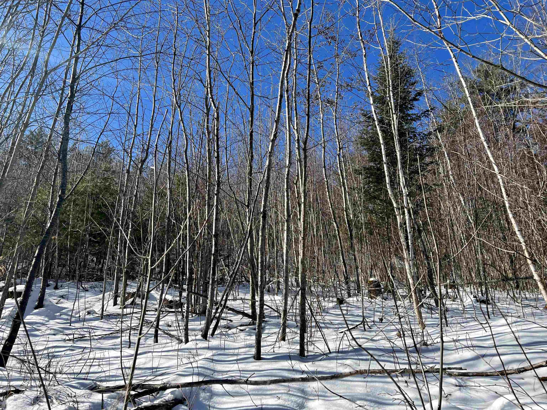 0 Corey Hill Road Newbury VT 05051