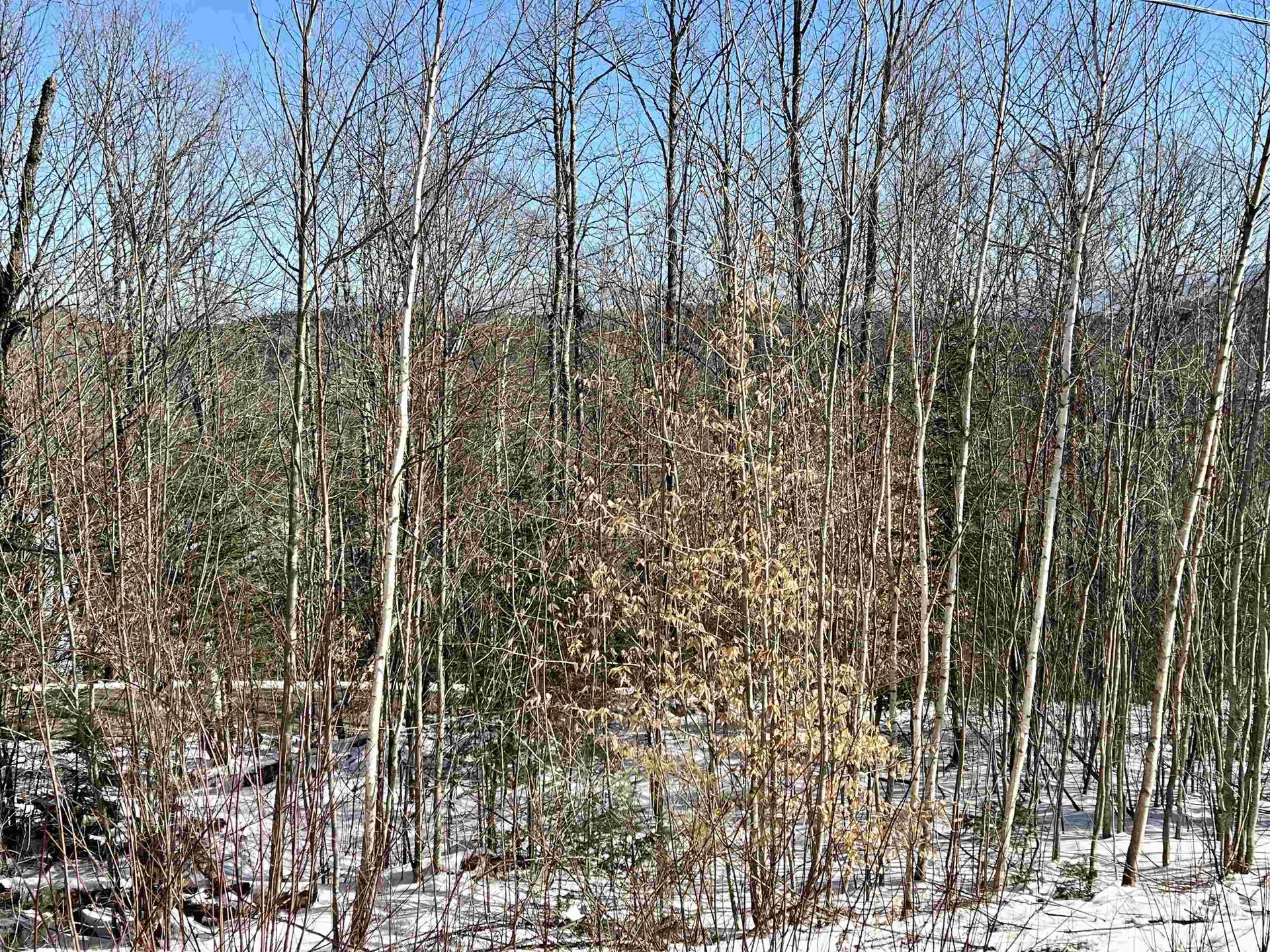 0 Corey Hill Road Newbury VT 05051