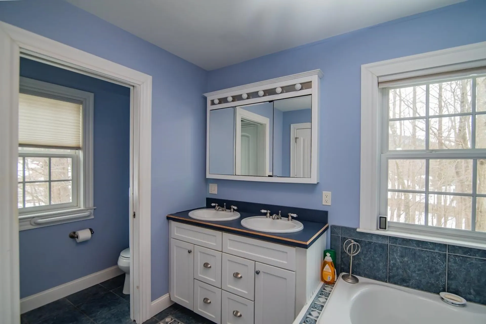 7 Acorn Drive Alton NH 03810
