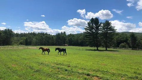 1409 Wakefield Road Wakefield NH 03872