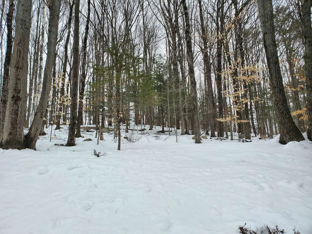 67 Townsend Terrace Lebanon NH 03766