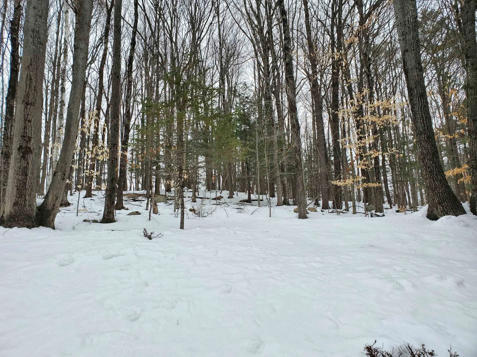 67 Townsend Terrace Lebanon NH 03766