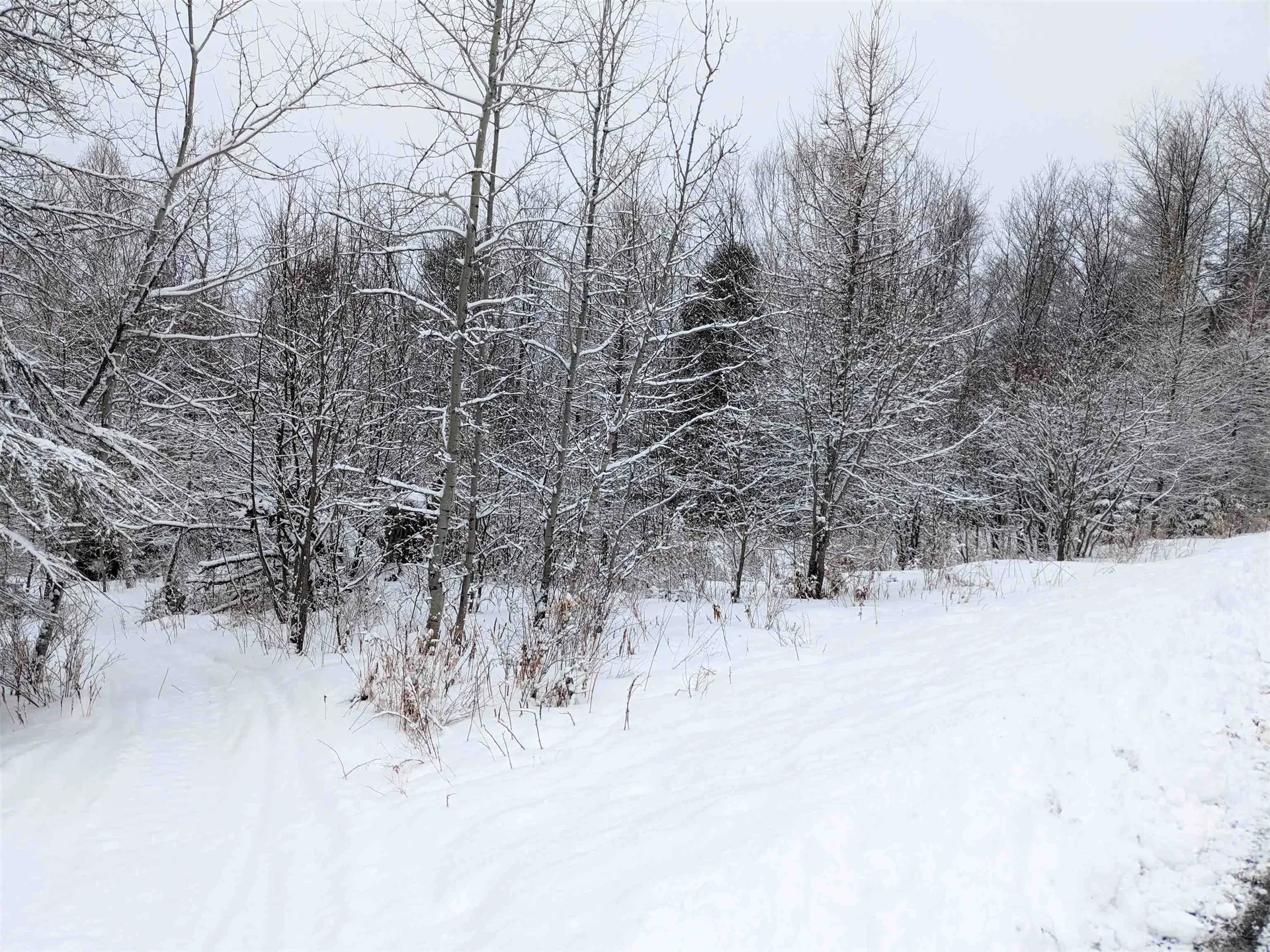 Lot 36 Scenic View Drive Colebrook NH 03576