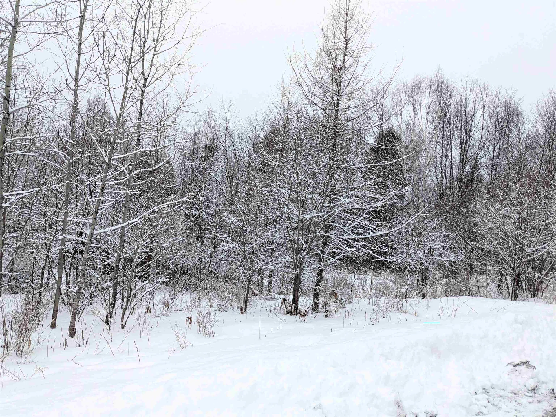 Lot 36 Scenic View Drive Colebrook NH 03576