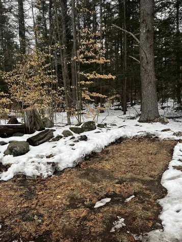 00 Fish Rock Road Fitzwilliam NH 03447