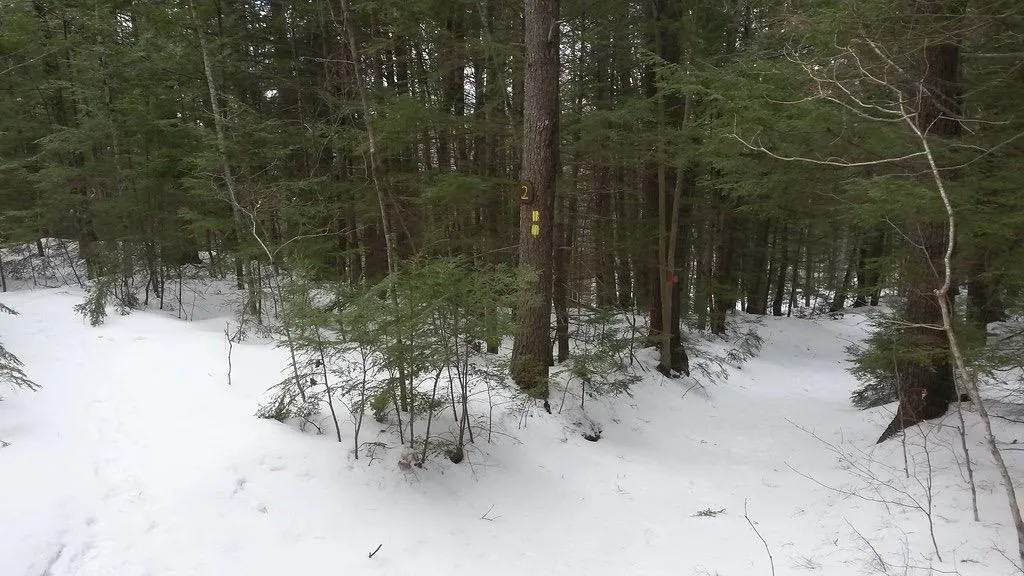 44 Jenness Hill Road Meredith NH 03253