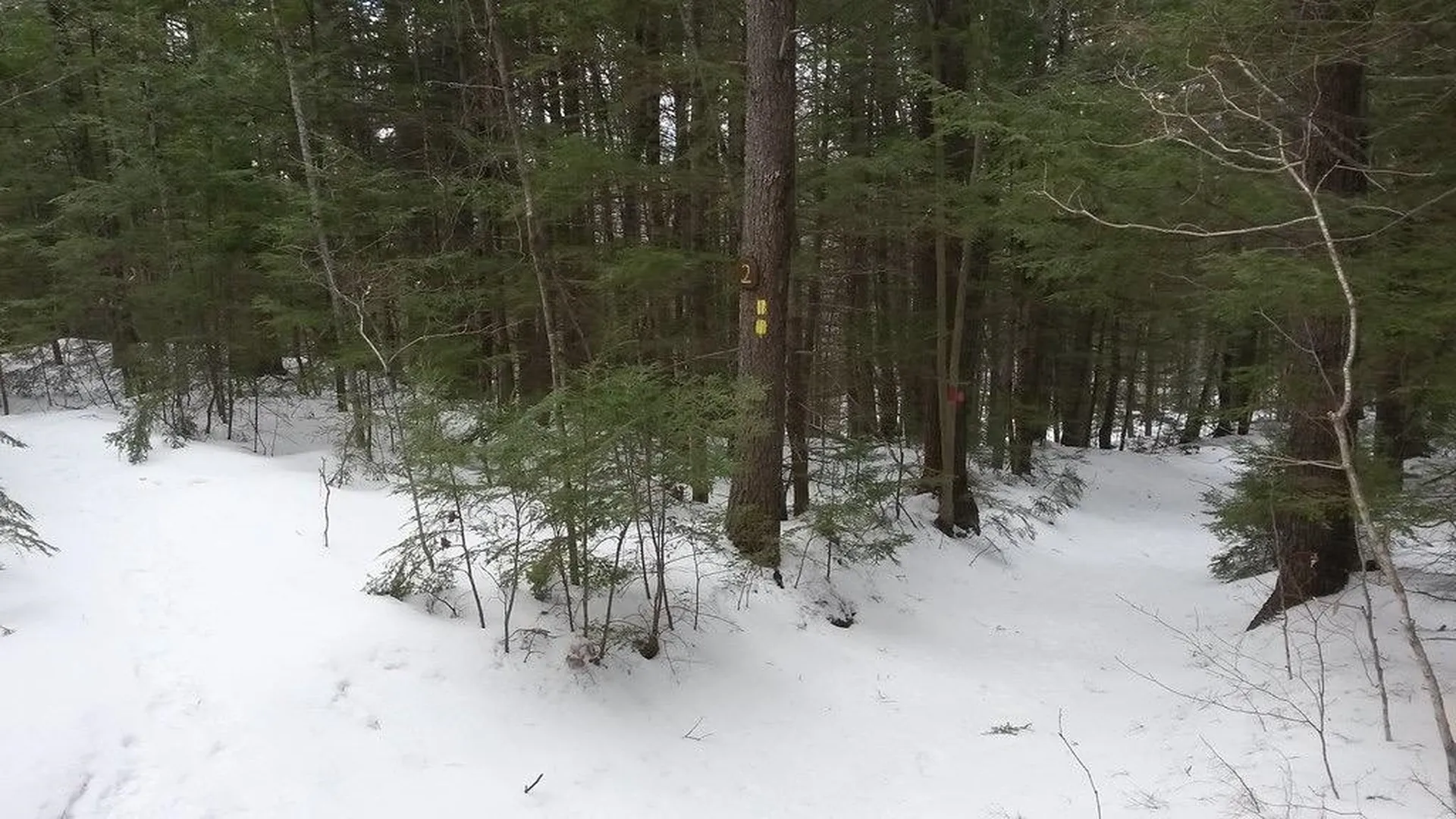 44 Jenness Hill Road Meredith NH 03253