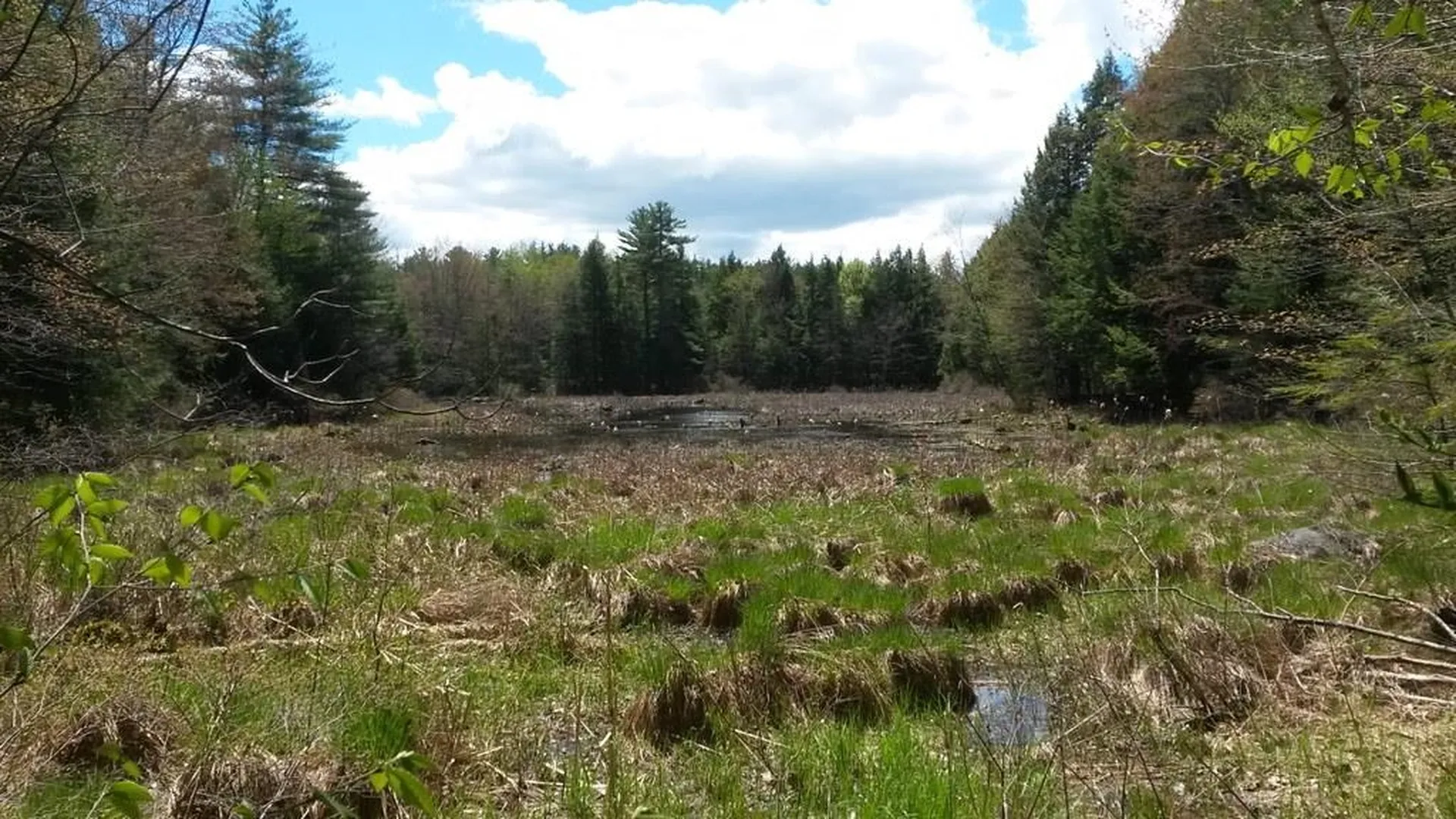 44 Jenness Hill Road Meredith NH 03253