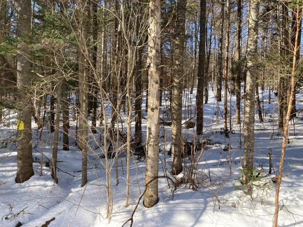 0 South Road Canaan NH 03741