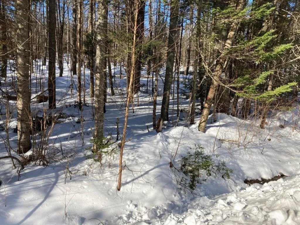 0 South Road Canaan NH 03741