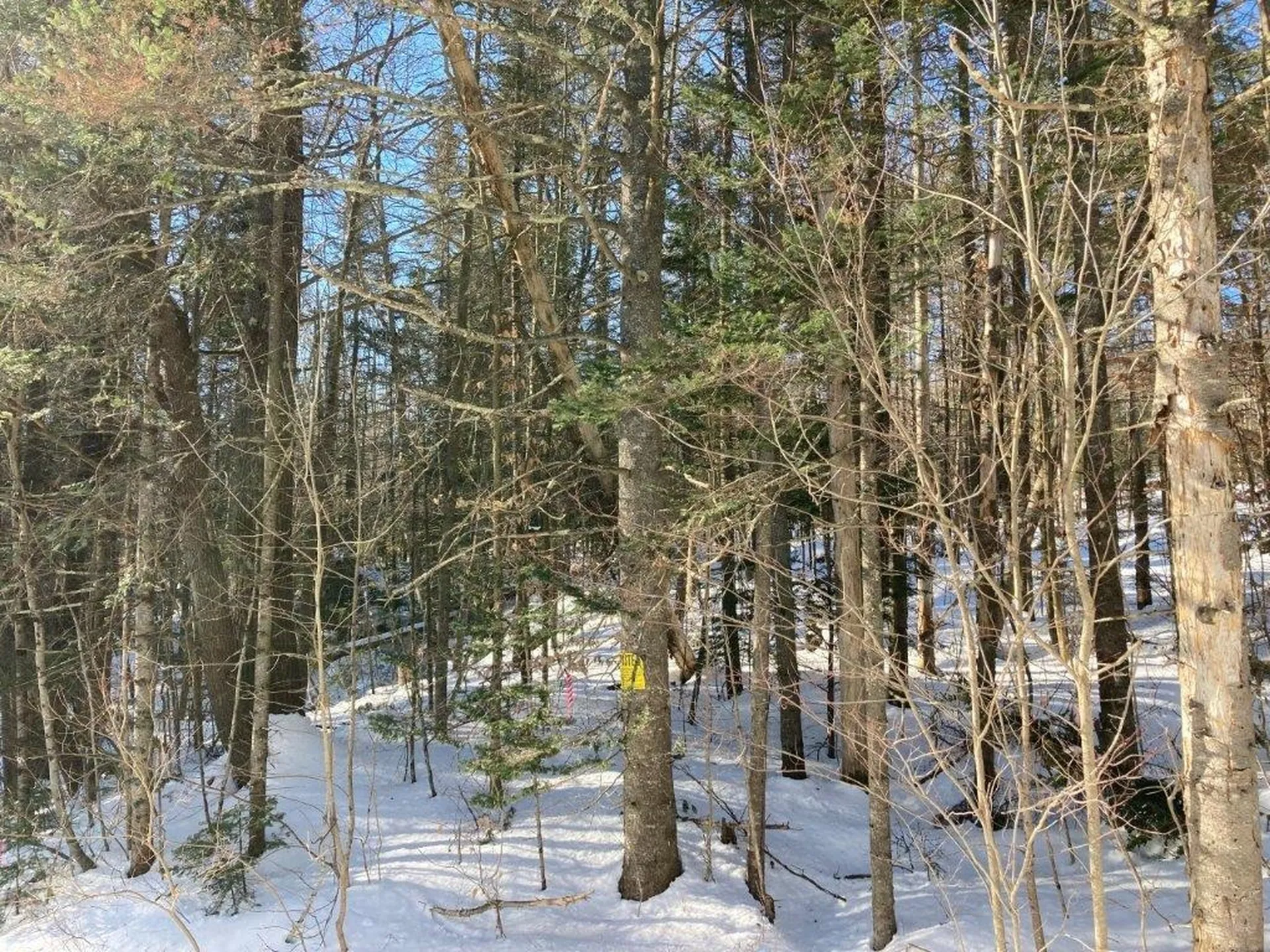 0 South Road Canaan NH 03741