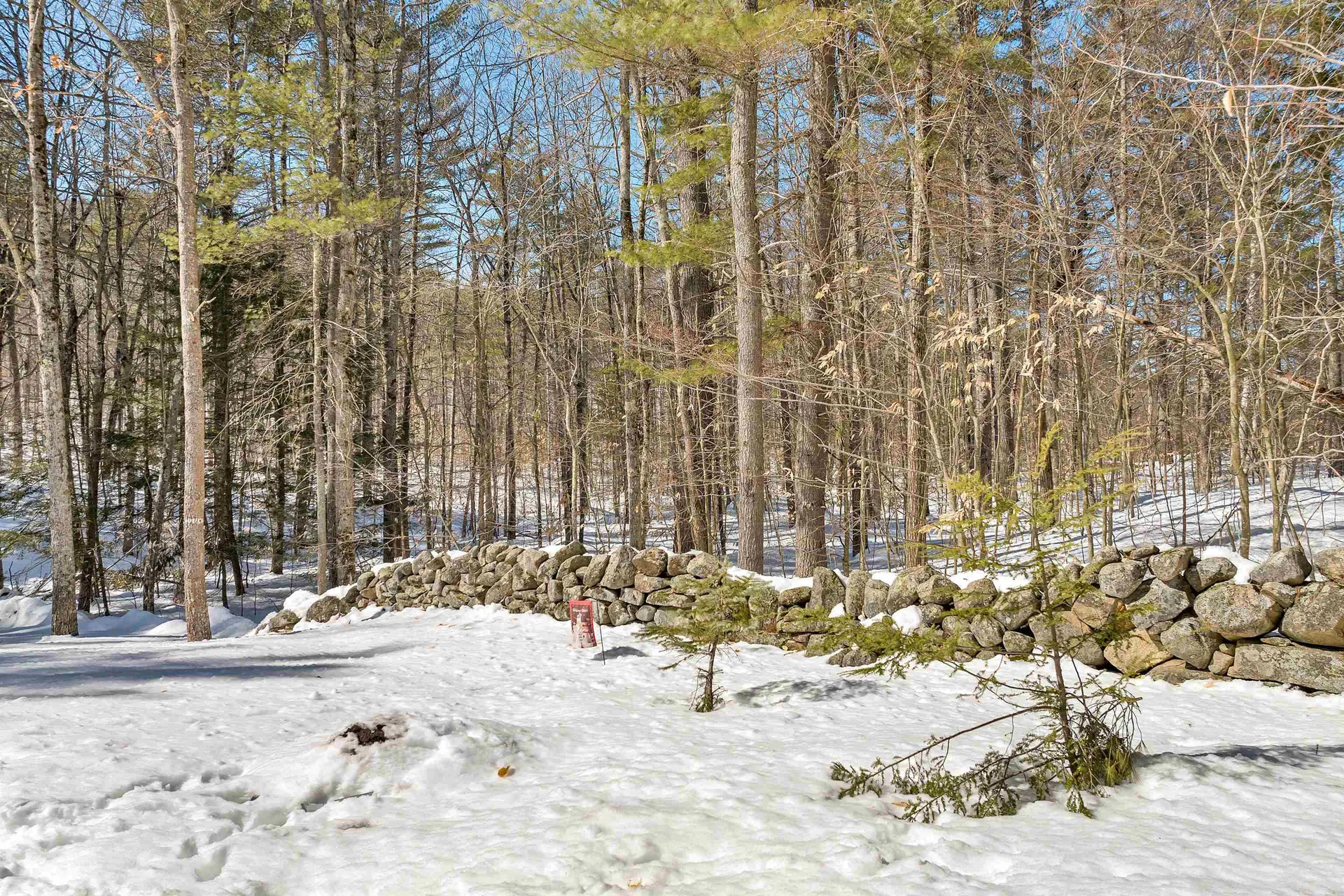15 Friar Tuck Way Wolfeboro NH 03894
