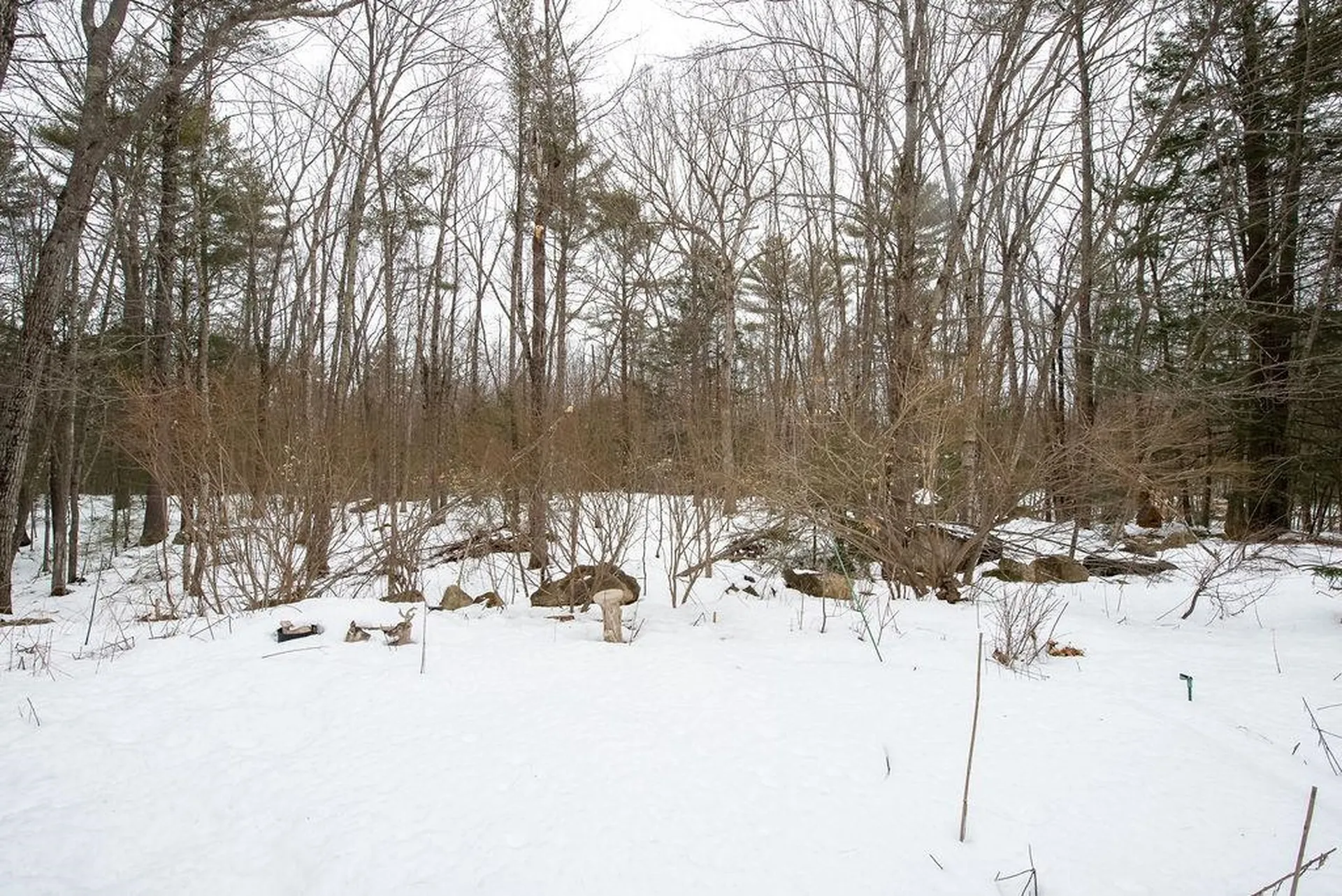 127 Chesley Drive Barrington NH 03825