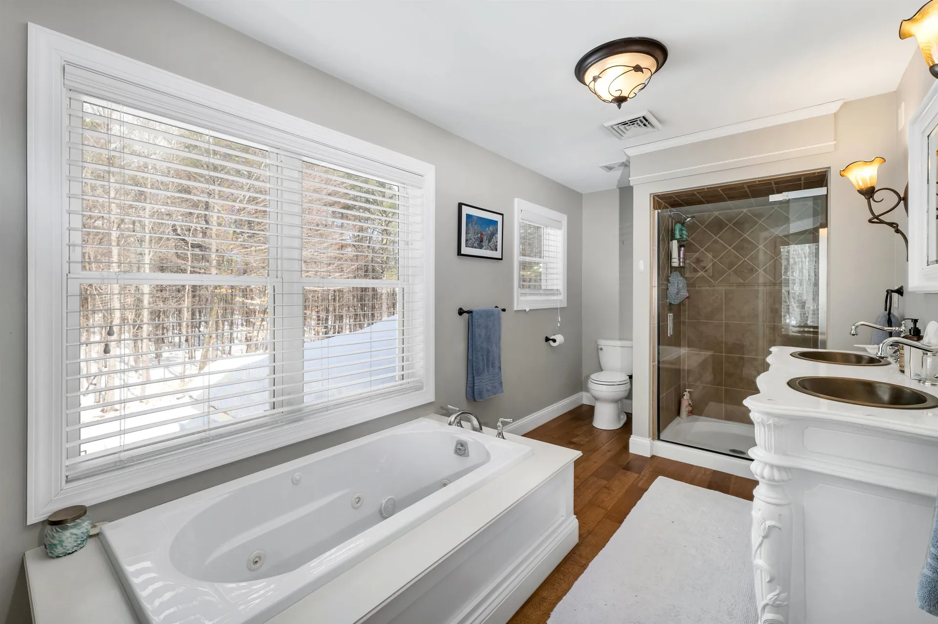 11 Sturrock Place Gilford NH 03249