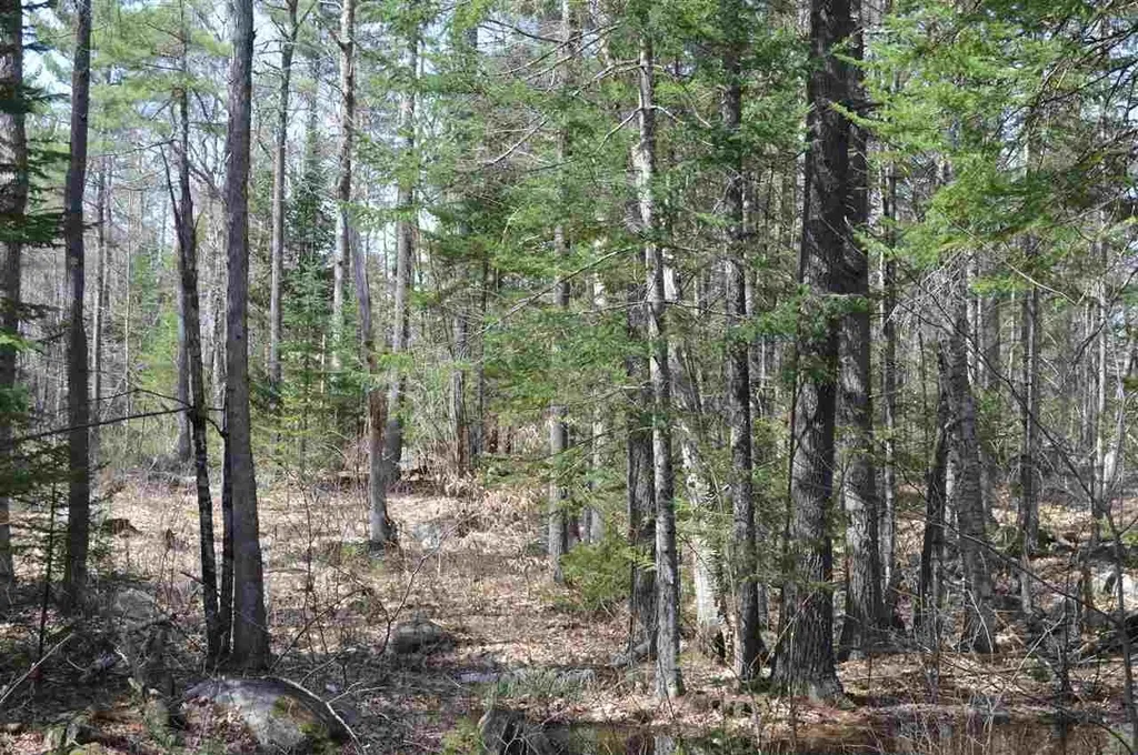 0 Gilman Point Road Moultonborough NH 03254