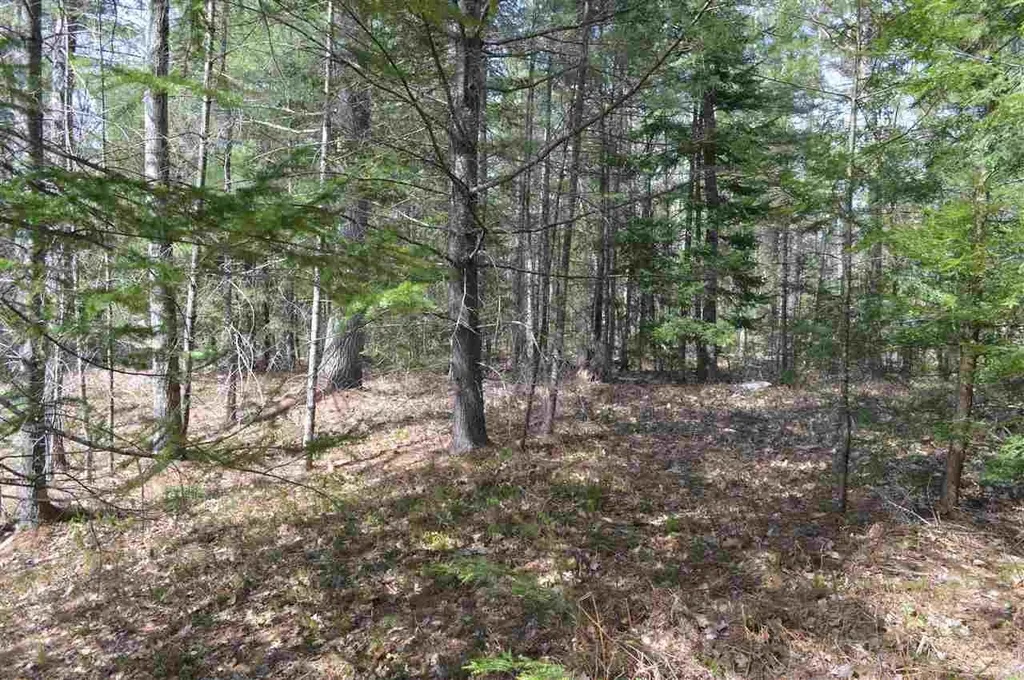 0 Gilman Point Road Moultonborough NH 03254