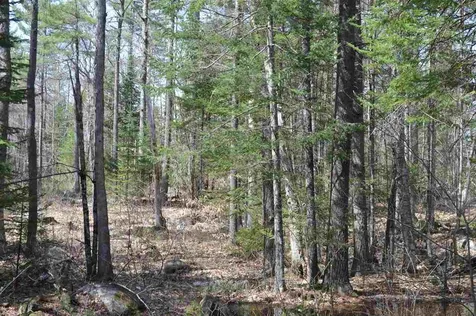 0 Gilman Point Road Moultonborough NH 03254