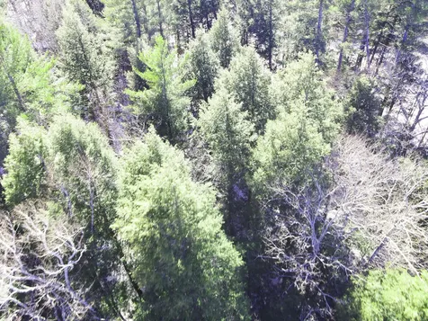 Map 18 Lot 15 Summit View Drive Moultonborough NH 03245