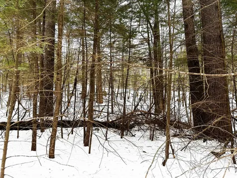 Map 18 Lot 15 Summit View Drive Moultonborough NH 03245