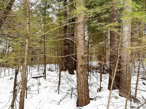 Map 18 Lot 15 Summit View Drive Moultonborough NH 03245