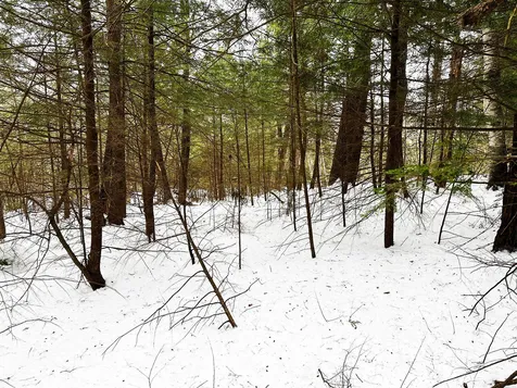 Map 18 Lot 15 Summit View Drive Moultonborough NH 03245
