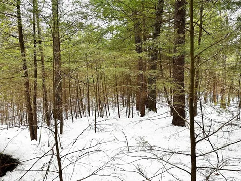 Map 18 Lot 15 Summit View Drive Moultonborough NH 03245