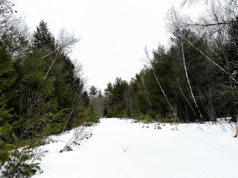 Map 18 Lot 15 Summit View Drive Moultonborough NH 03245