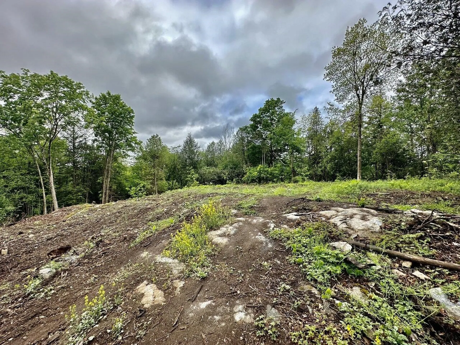 A3 Birdie Drive Hinesburg VT 05461