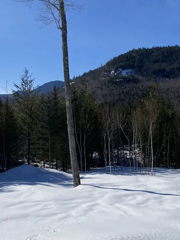 F2 Cave Mountain Road Bartlett NH 03812