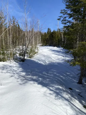 F2 Cave Mountain Road Bartlett NH 03812