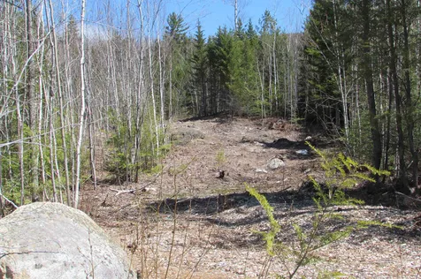 F2 Cave Mountain Road Bartlett NH 03812