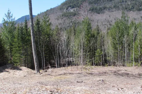 F2 Cave Mountain Road Bartlett NH 03812