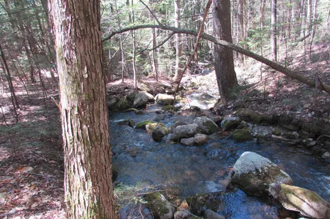 F2 Cave Mountain Road Bartlett NH 03812