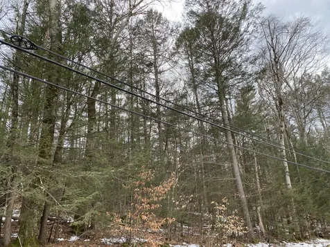 0 Route 9a Chesterfield NH 03462