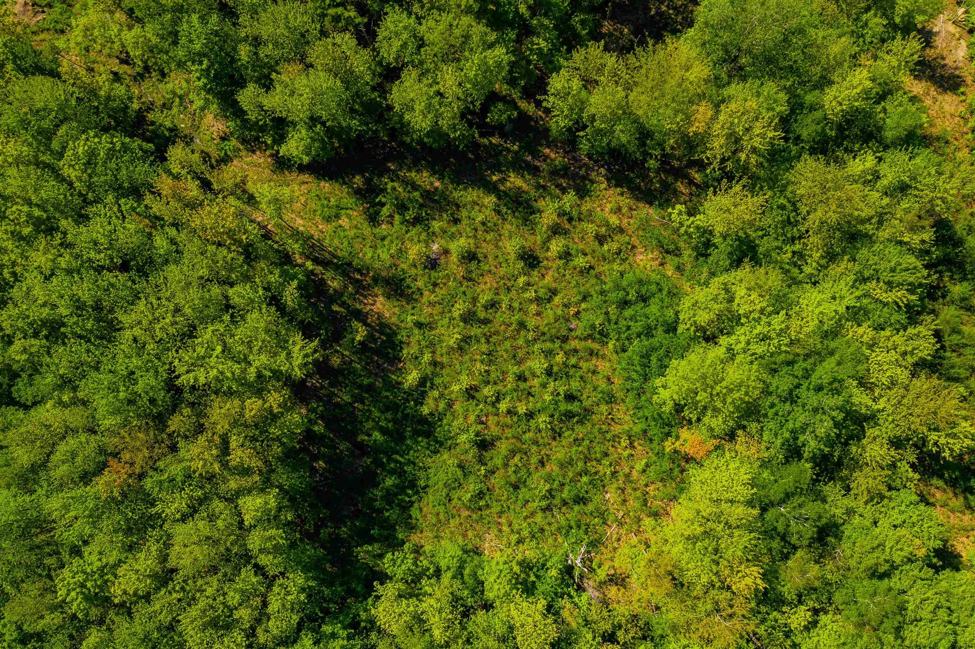 39 Black Walnut Lane Jericho VT 05465