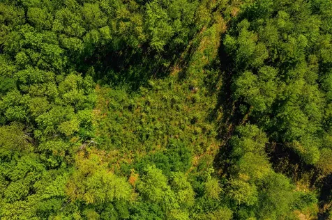 36 Black Walnut Lane Jericho VT 05465