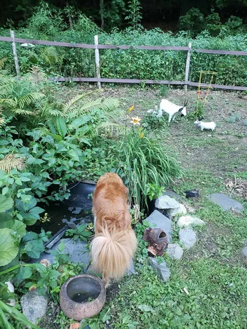 68 Wilsons Woods Road Brattleboro VT 05301