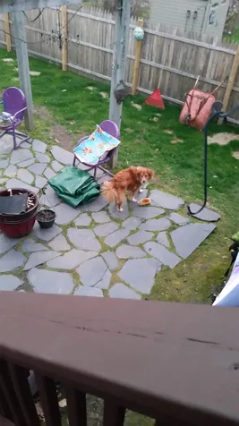 68 Wilsons Woods Road Brattleboro VT 05301