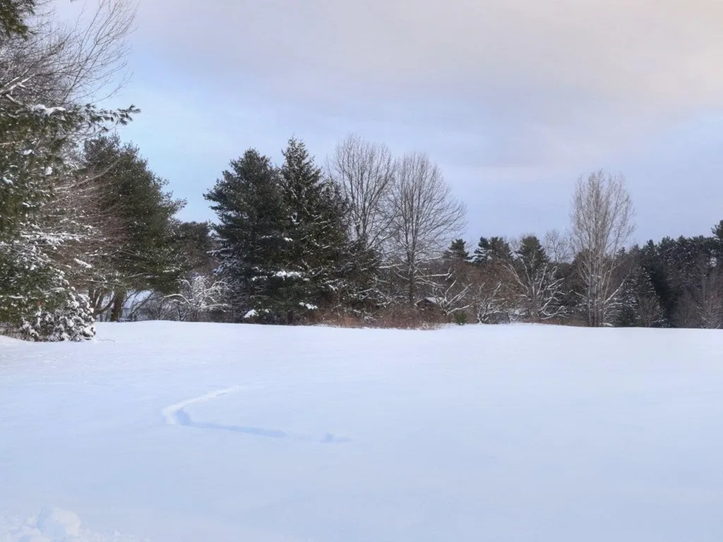 66 Starbird Road Jericho VT 05465