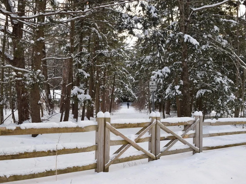 66 Starbird Road Jericho VT 05465