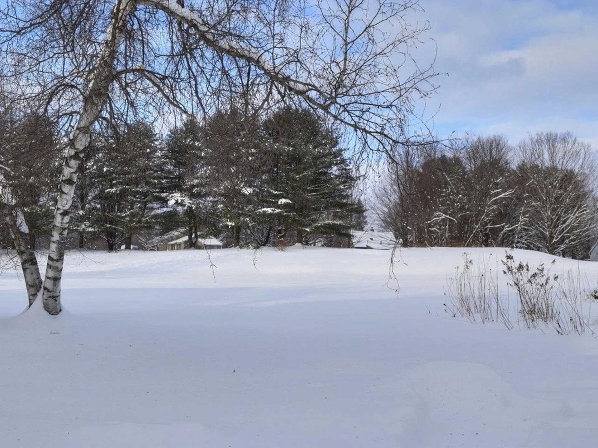 66 Starbird Road Jericho VT 05465