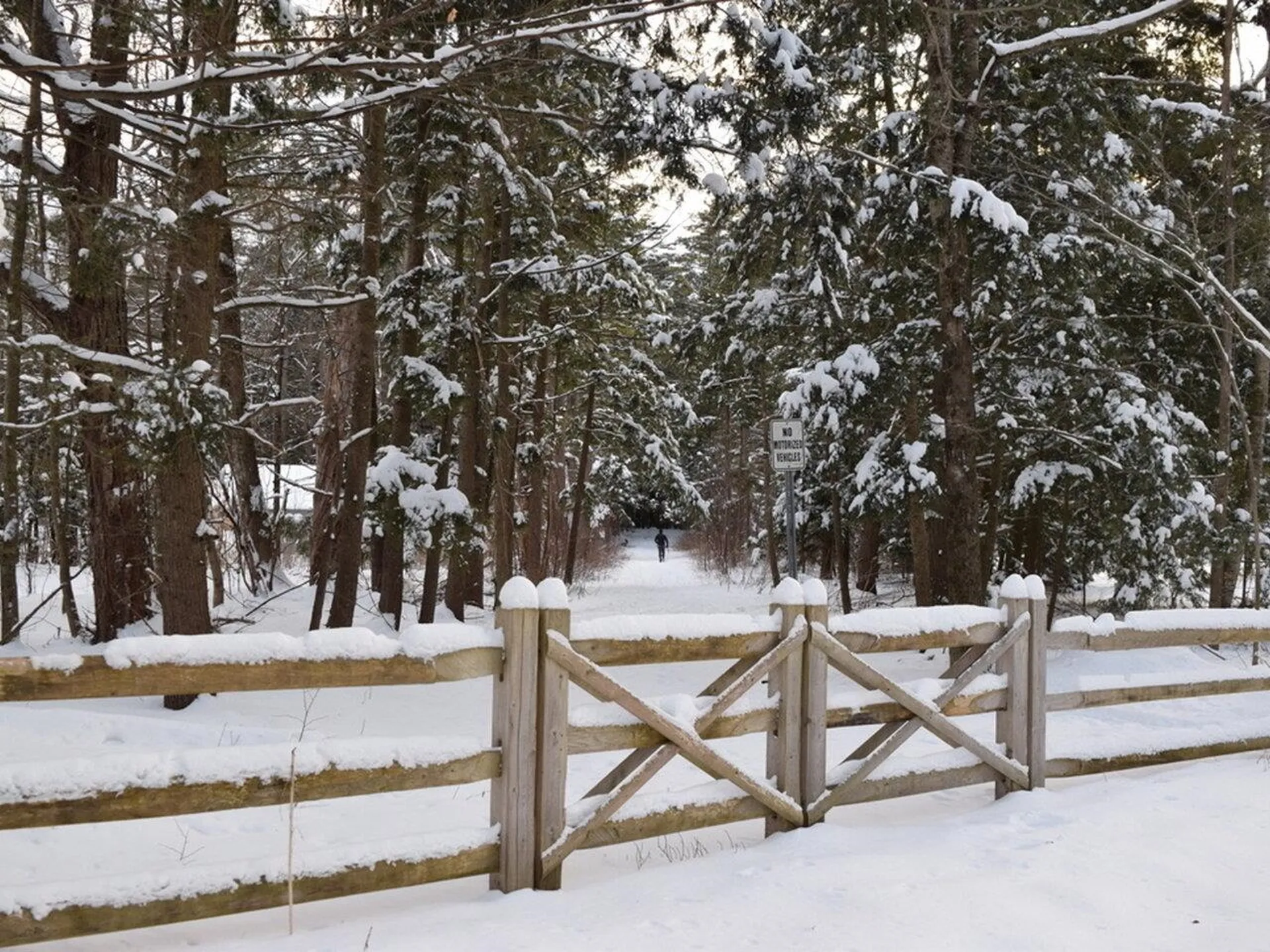 66 Starbird Road Jericho VT 05465